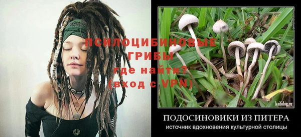 молекула духа Богородск