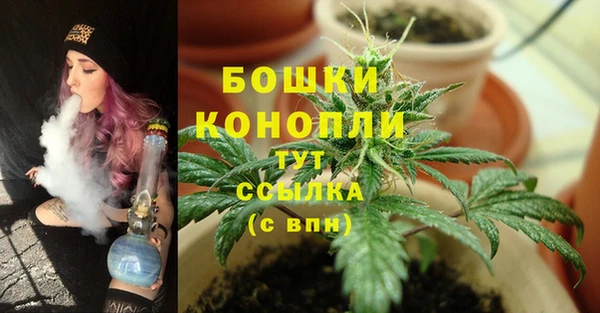 прущая мука Богданович