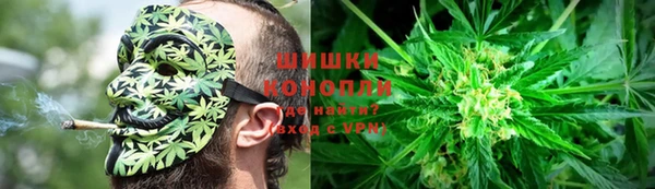 прущая мука Богданович